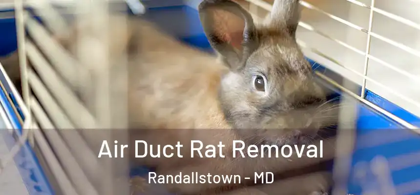  Air Duct Rat Removal Randallstown - MD