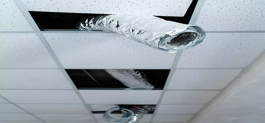 Affordable HVAC Sanitizing After Pest Removal in Randallstown