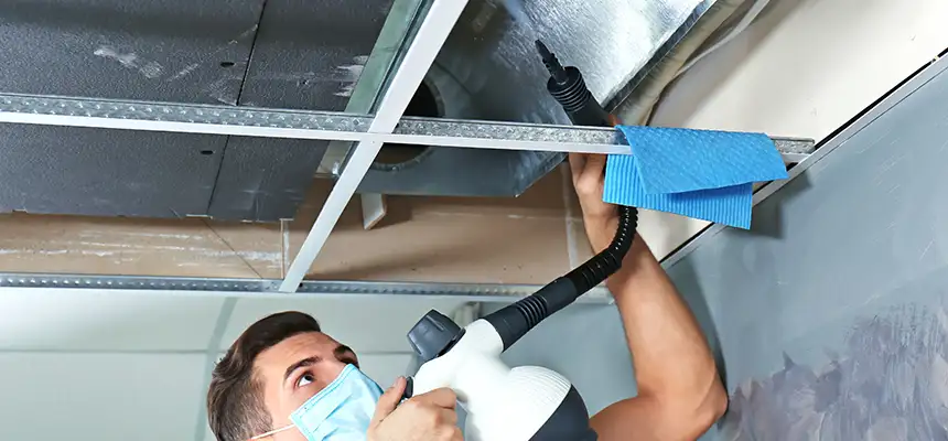 Our Air Duct Rodent Removal Services in Randallstown, MD