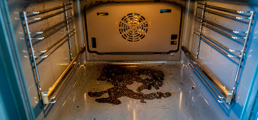 Our Dryer Vent Mold Cleaning Services in Randallstown, MD