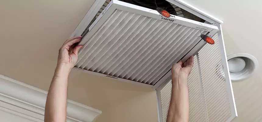 Our Insect Removal from Air Ducts Services in Randallstown, MD
