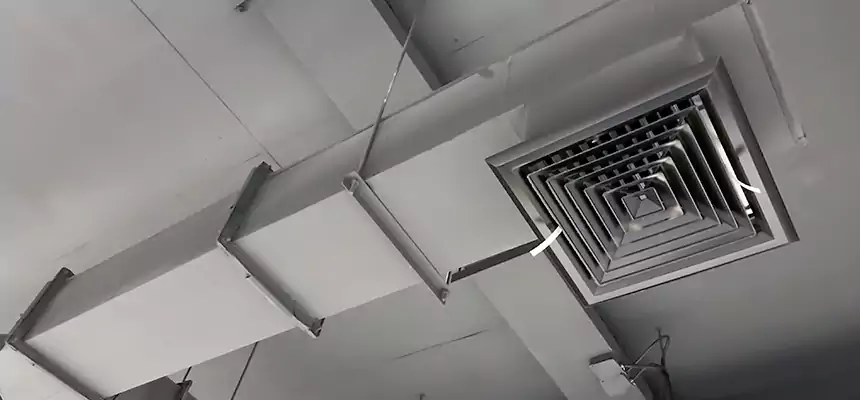 Our Rodent Droppings In Vents Services in Randallstown, MD