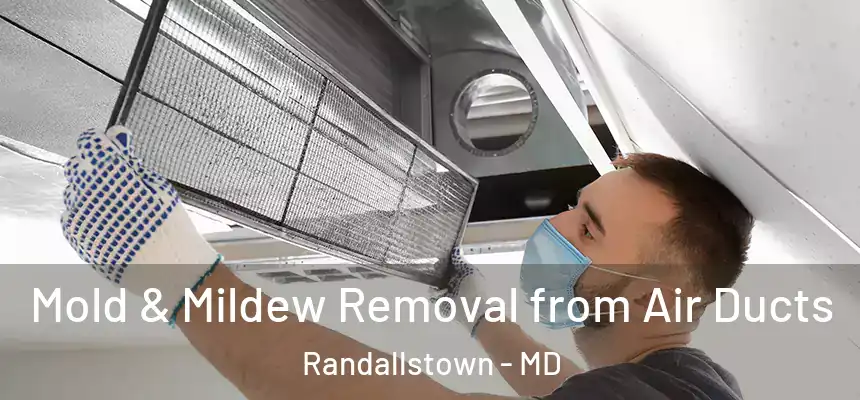 Mold & Mildew Removal from Air Ducts Randallstown - MD
