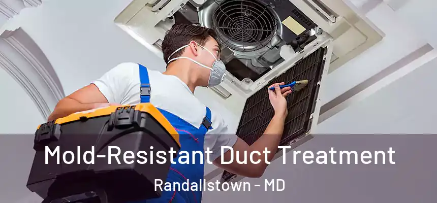  Mold-Resistant Duct Treatment Randallstown - MD