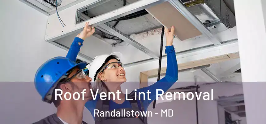  Roof Vent Lint Removal Randallstown - MD