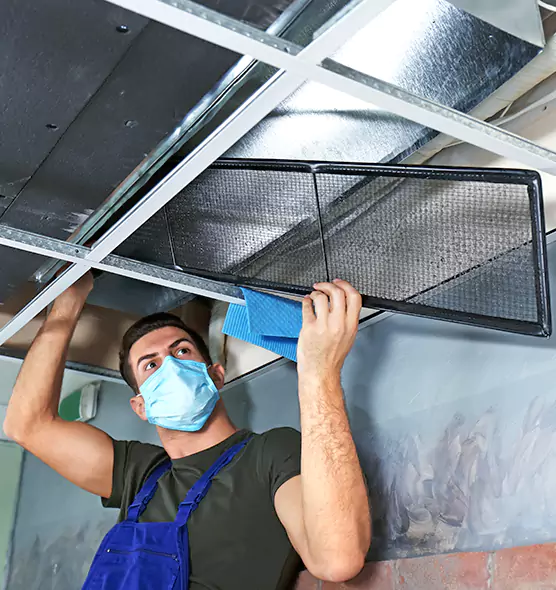About Air Duct Bacteria Removal in Randallstown