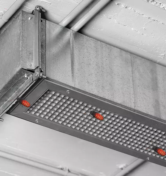 Affordable Insect Removal from Air Ducts in Randallstown, MD