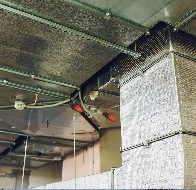 Why Homeowners & Businesses Trust Us in Randallstown, MD?