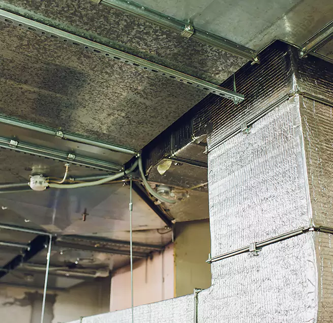 Why Homeowners & Businesses Trust Us in Randallstown, MD?